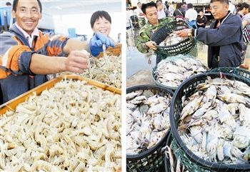 渤海休漁結(jié)束，開(kāi)海喜迎豐收