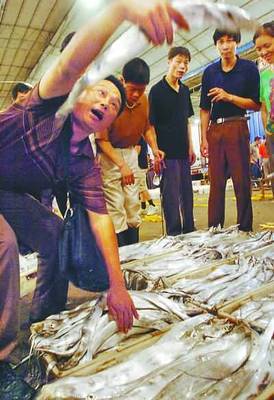 透骨新鮮第一網(wǎng)魚(yú)上市——品味海洋的饋贈(zèng)