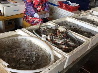 節(jié)后市場(chǎng)觀察 菜價(jià)回落水產(chǎn)品降價(jià)，農(nóng)產(chǎn)品供需趨穩(wěn)