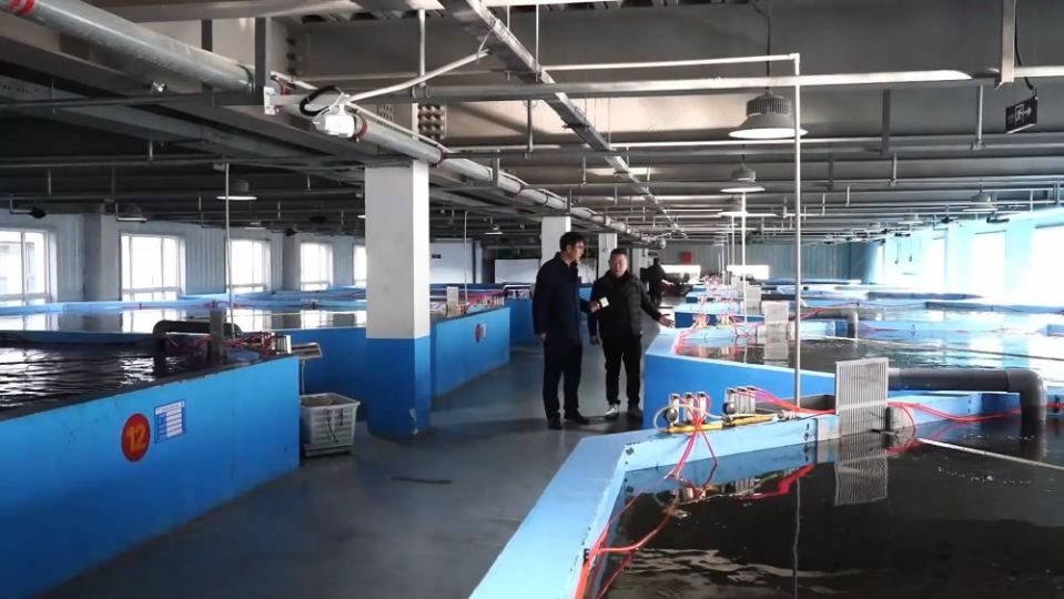 冬日暖陽(yáng)里，聽(tīng)一曲鄉(xiāng)村振興的“魚(yú)米”交響