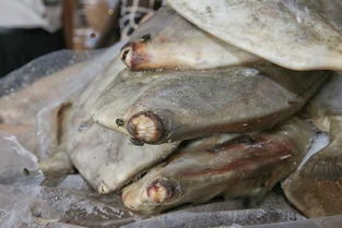 破冰專項(xiàng)行動(dòng)顯威，黃埔海關(guān)查獲31億元特大走私進(jìn)口凍水產(chǎn)品案